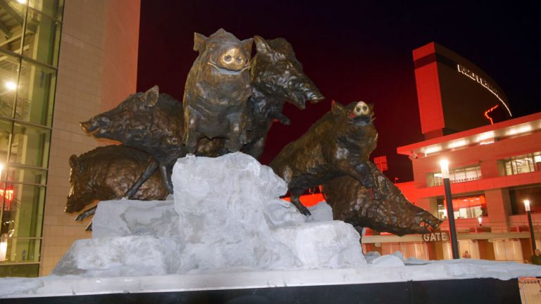 Razorback Stadium lit up all in red for home opener