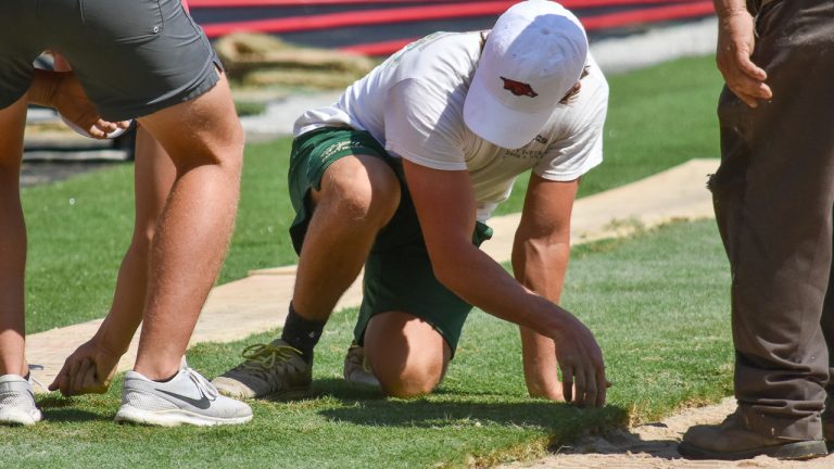 Natural grass installation starts Monday on Razorback Stadium
