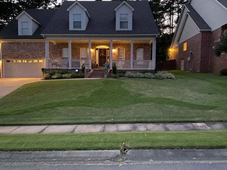 Fayetteville homeowner does some yard decoration for Texas game