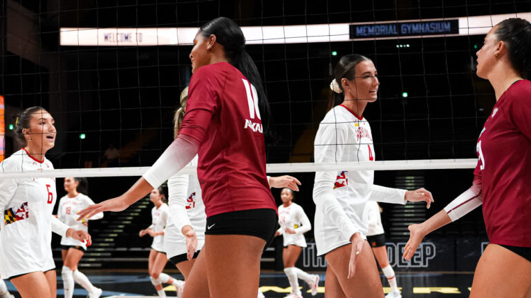 Razorback volleyball.