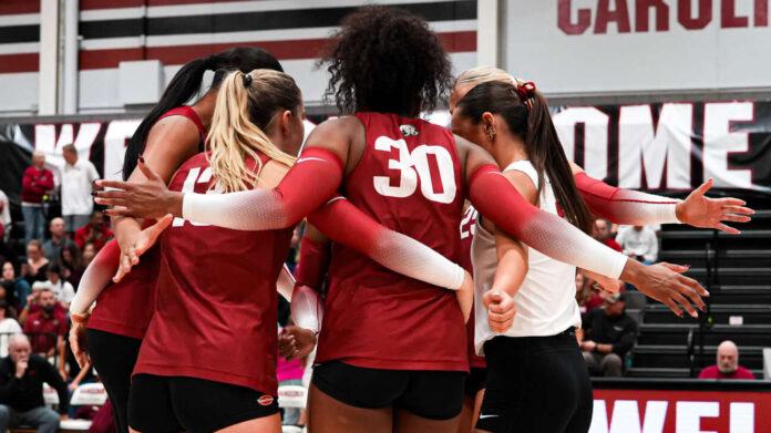 Razorbacks volleyball